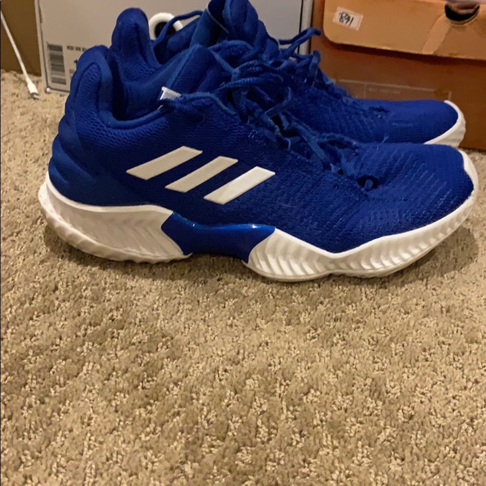 Adidas pro bounce